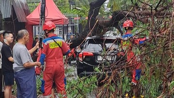 Hujan Angin Jakarta: Mobil Tertimpa Pohon!